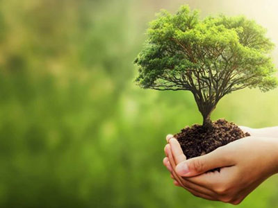 Environmental Quality Management